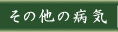 ���̑��̕a�C